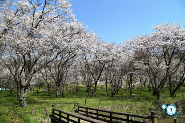 安岐ダム　いこいの広場