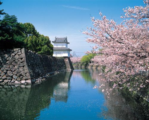 大分城址公園・府内城跡