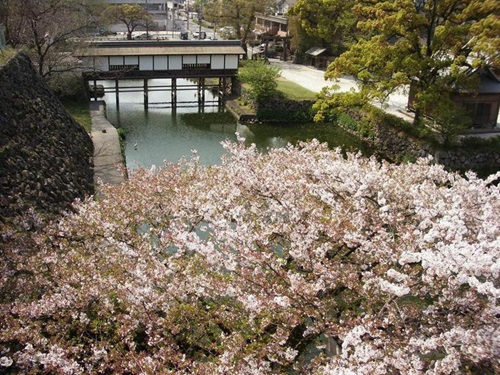 大分城址公園・府内城跡