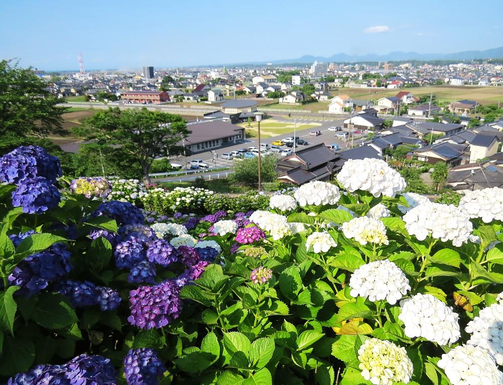 響山公園