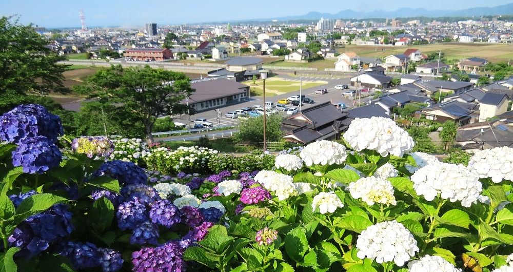 響山公園