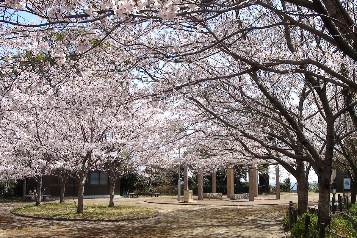 瀬会公園