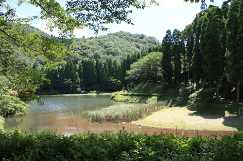 県民の森 平成森林公園キャンプ場