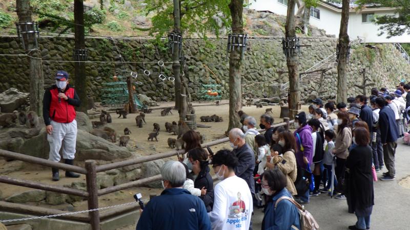 高崎山自然動物園