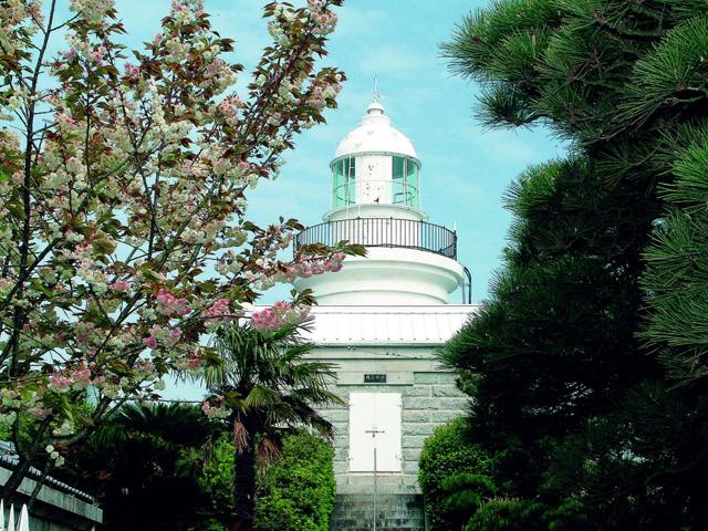 姫島灯台の桜