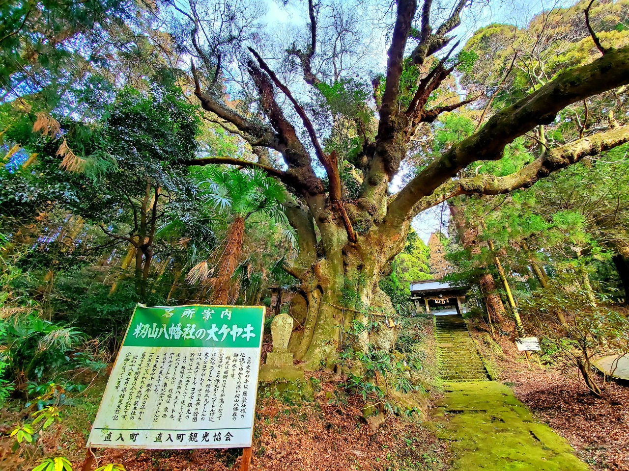 籾山 八幡 社