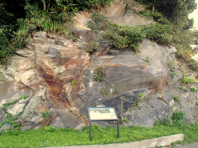 【ジオサイト】金溶岩・スタジイの自然林