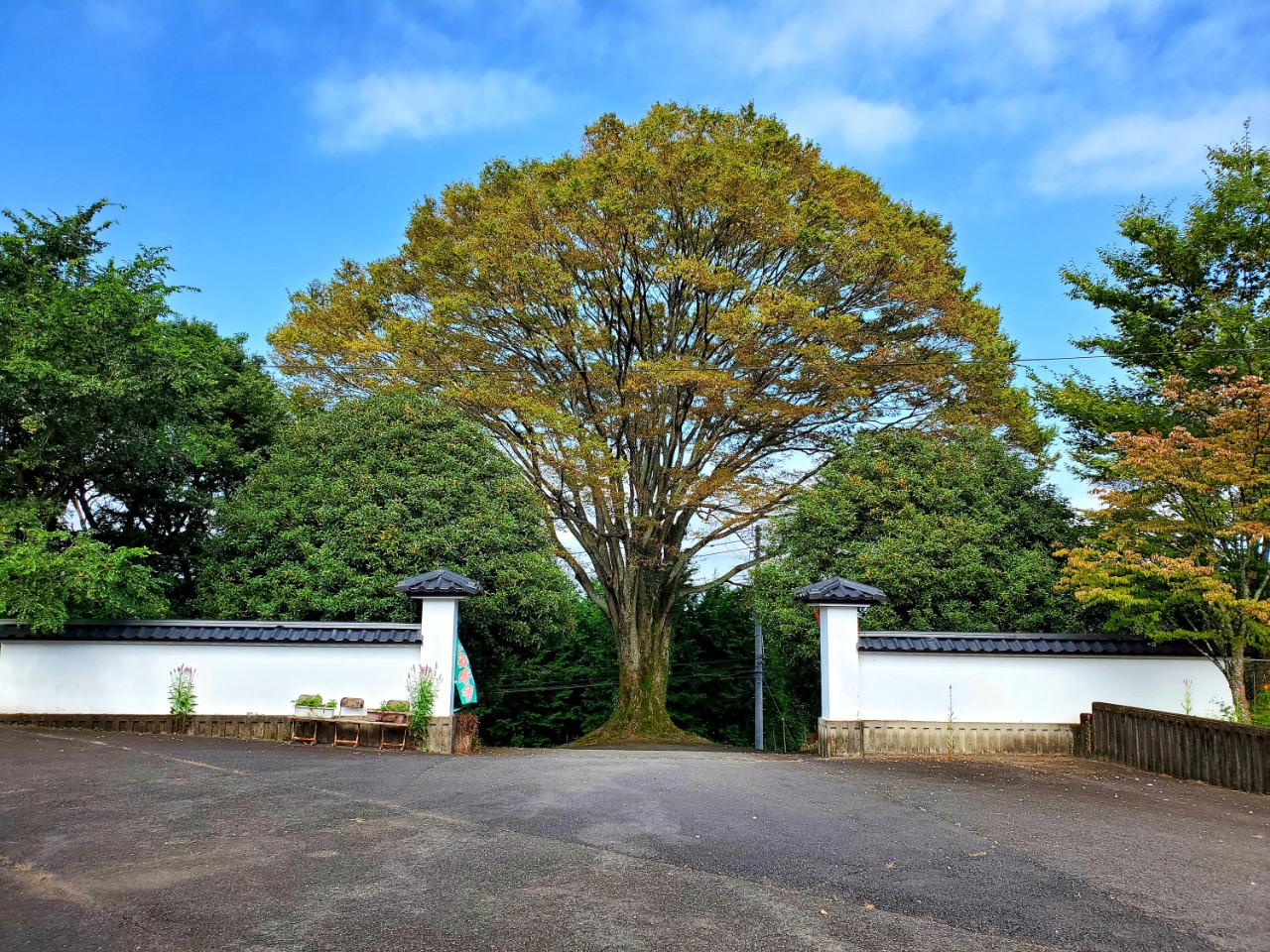 あ祖母学舎2