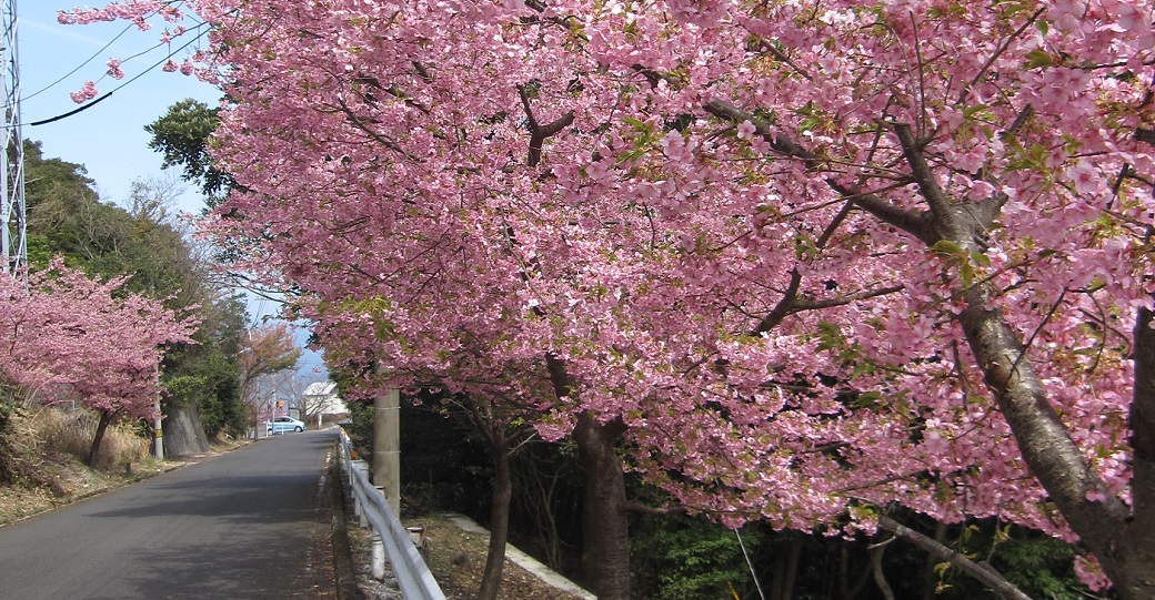 第24回豊後水道絶景ウォーク(申込不要・当日受付)