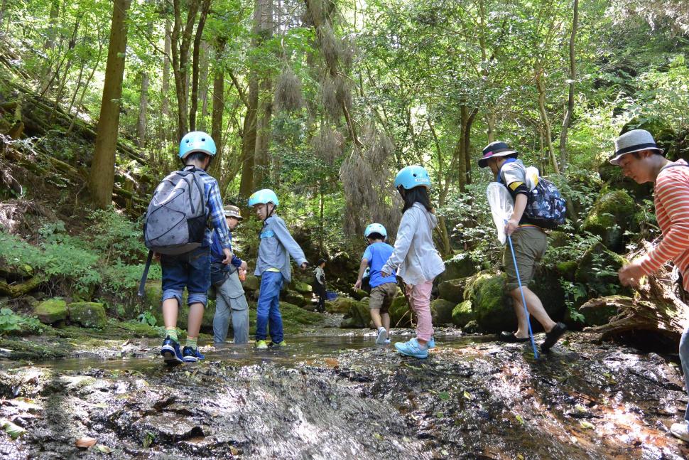 森林セラピーKIDS！夏の友【要申込】