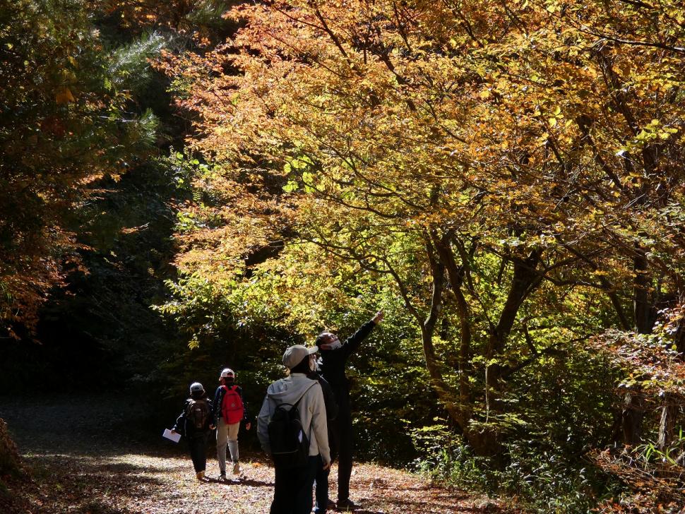 秋のファミリーパーク～紅葉の森で秋見つけ～【要事前申込】
