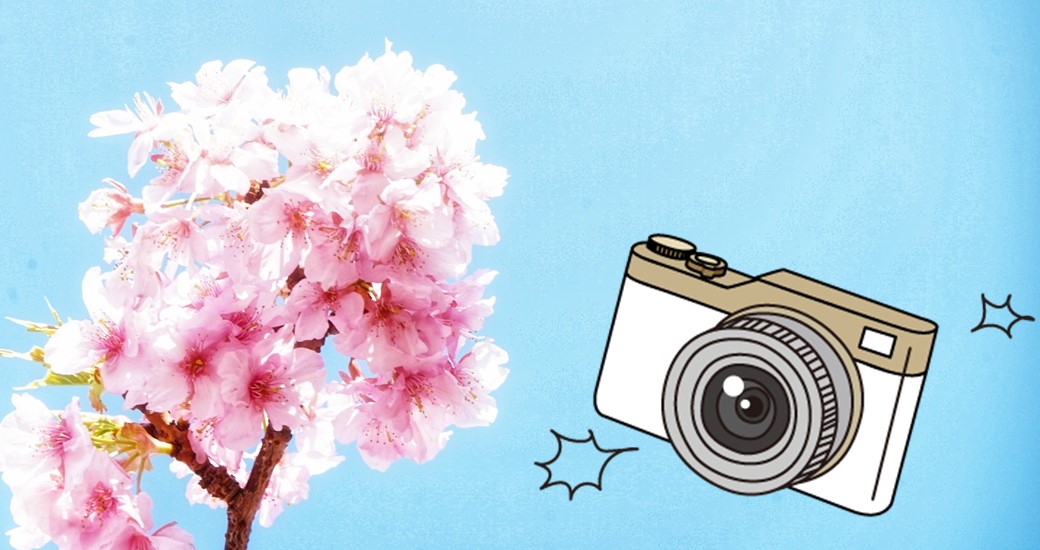 紅葉谷 昌代 フォト教室【要事前予約】