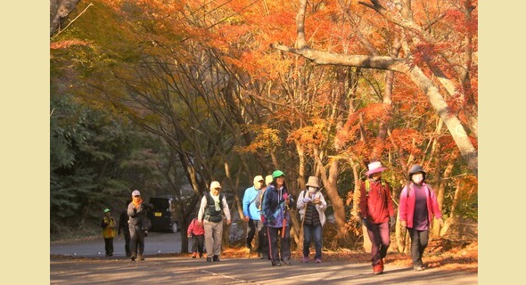 八面山もみじウォーク【参加者募集】