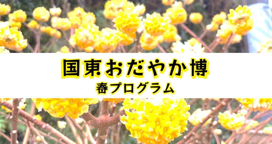 国東おだやか博2024-2025　春プログラム【要申込】