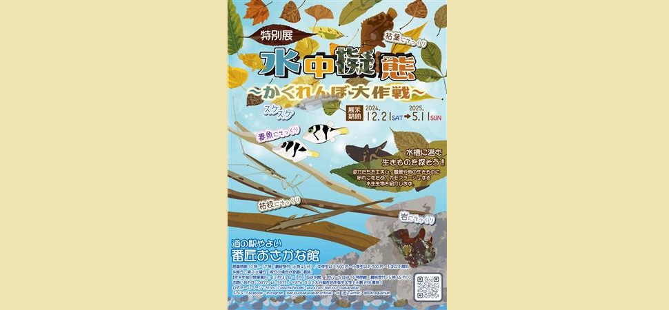 番匠おさかな館特別展「水中擬態～かくれんぼ大作戦～」