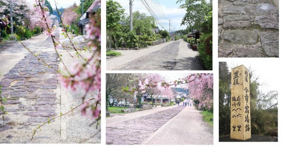 今市石畳にシダレザクラを見に来ませんか