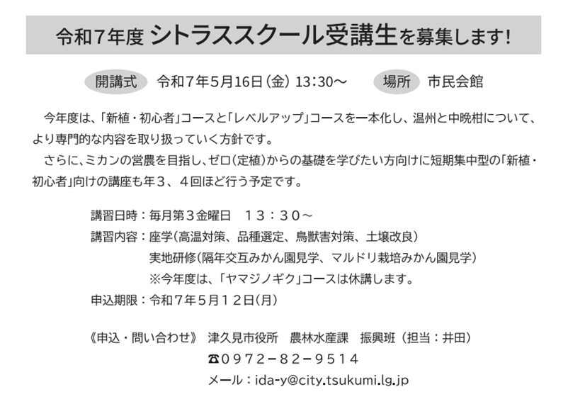 チラシ