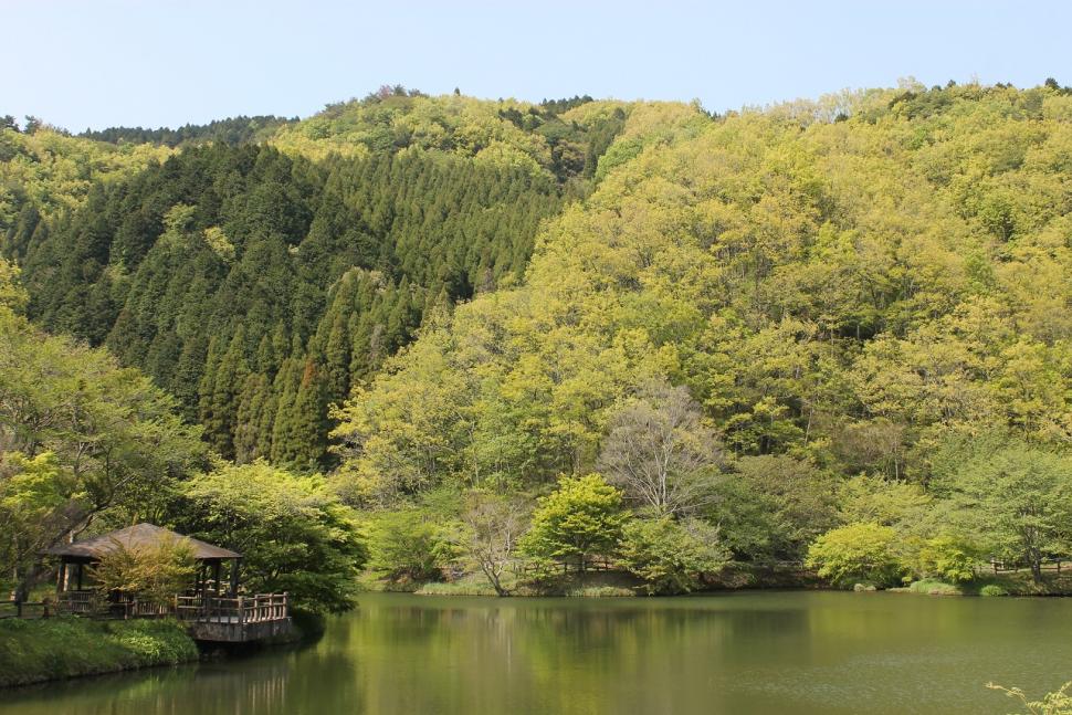 森林セラピー体験ツアーinおしどり渓谷
