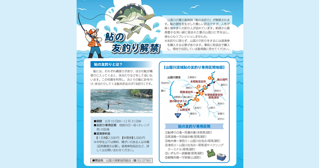 鮎の友釣り解禁