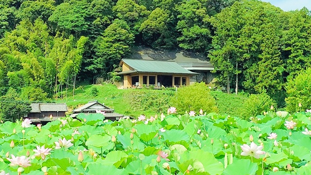 石仏の里　蓮まつり
