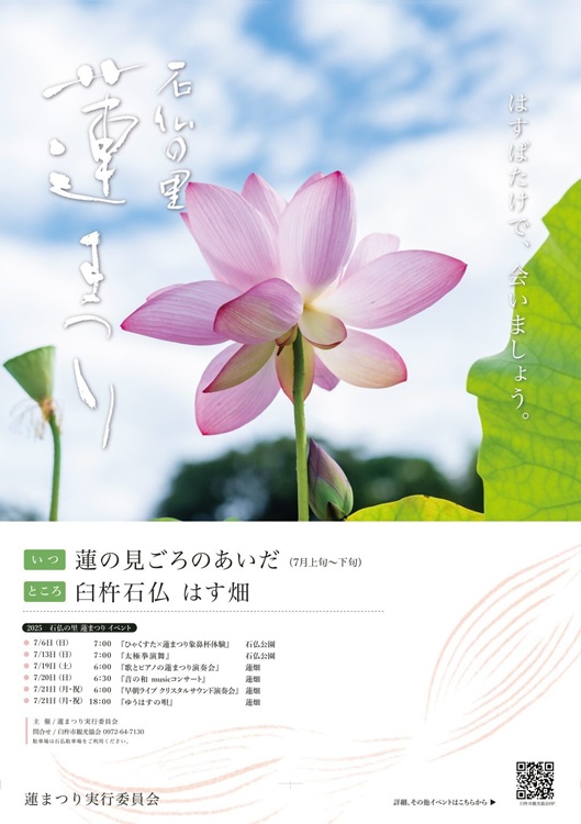 チラシ