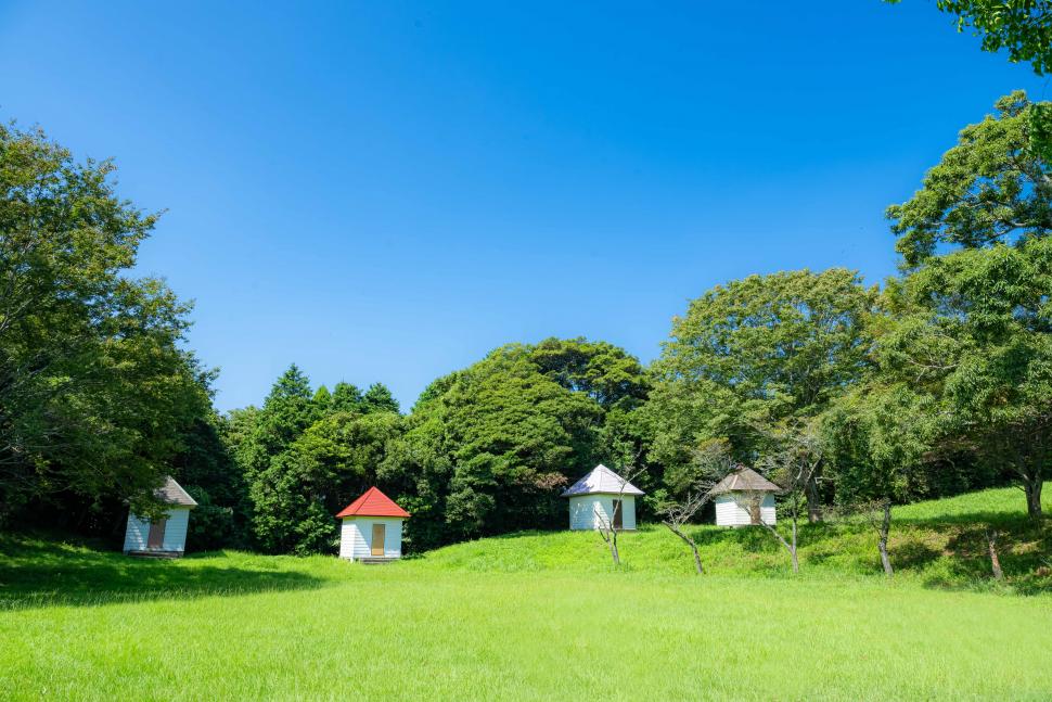 キャンプ場の申込み受付開始 (九六位山キャンプ場)