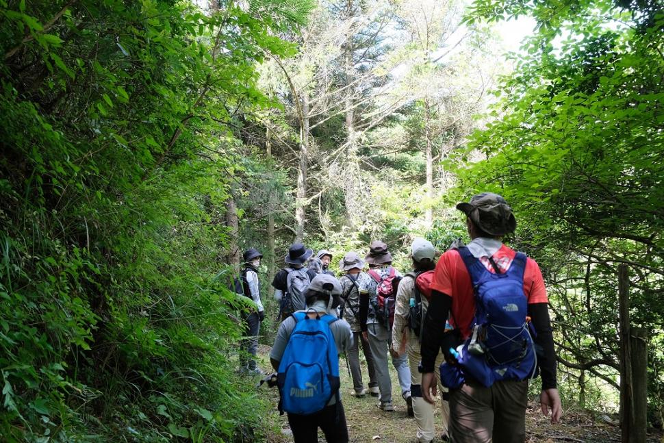 森林セラピー体験ツアーin平成森林公園【要事前申込】