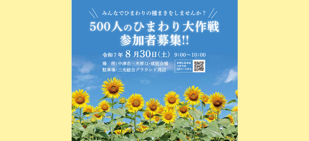 500人のひまわり大作戦！