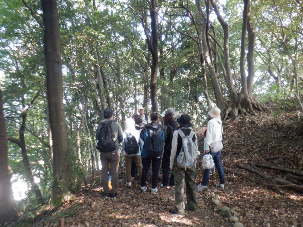 キノコの森の観察会【要申込・無料】