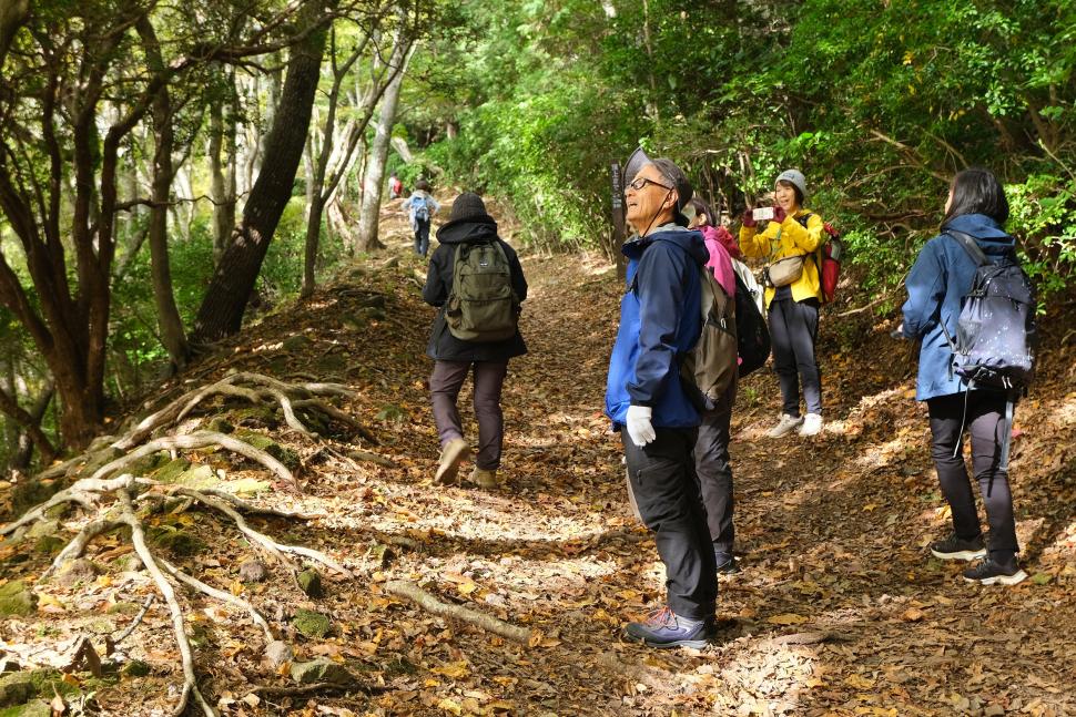 森林セラピー体験ツアーin高崎山【要申込】