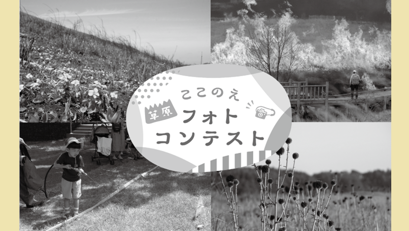 ここのえ草原フォトコンテスト