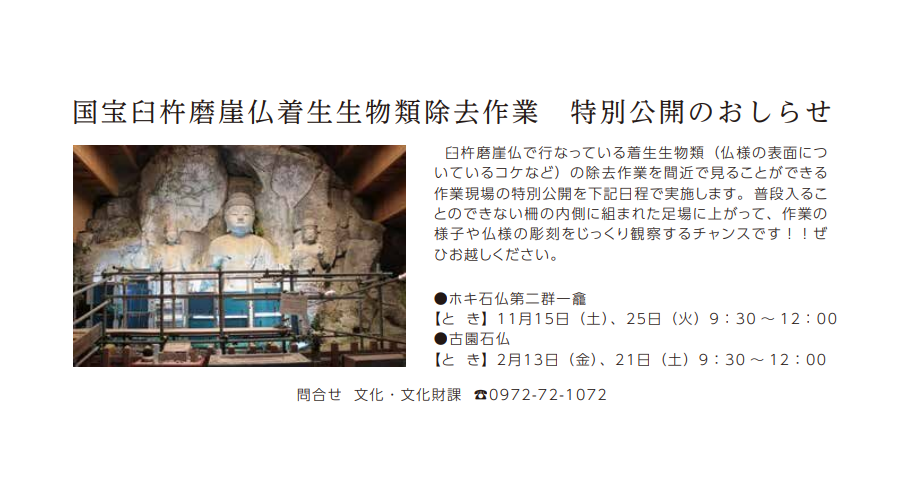 国宝臼杵磨崖仏着生生物類除去作業 特別公開