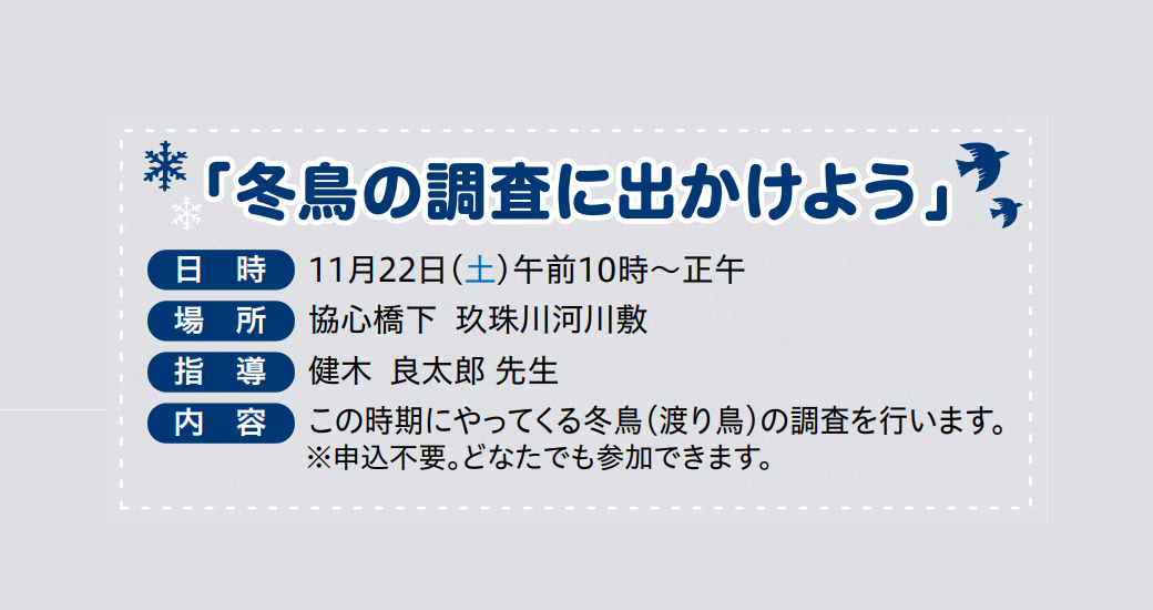 冬鳥の調査に出かけよう