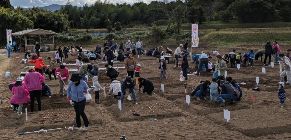 市民ボランティアによるチューリップの球根植え付け【参加者募集】