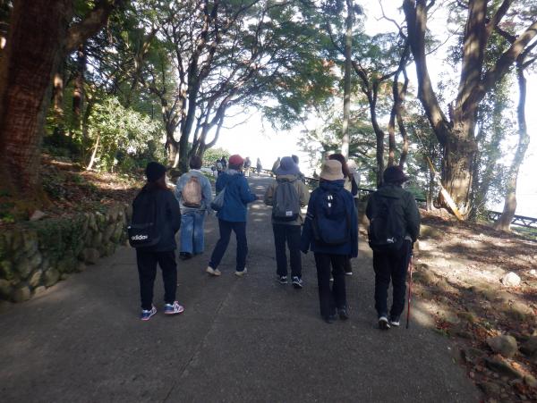 高崎山、おサルの森の観察会【要事前申込・無料】