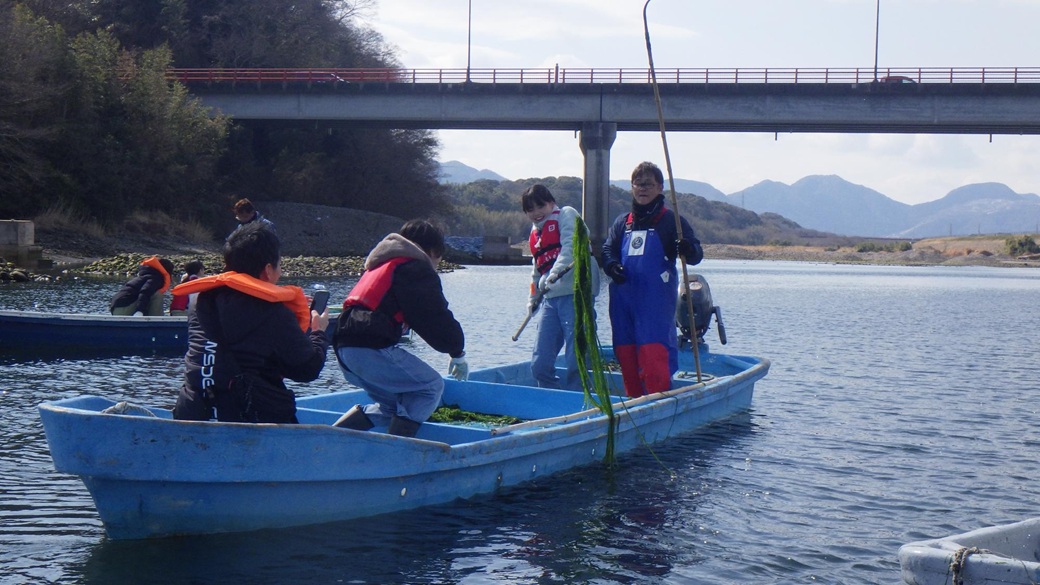 青ノリ漁体験【参加者募集】