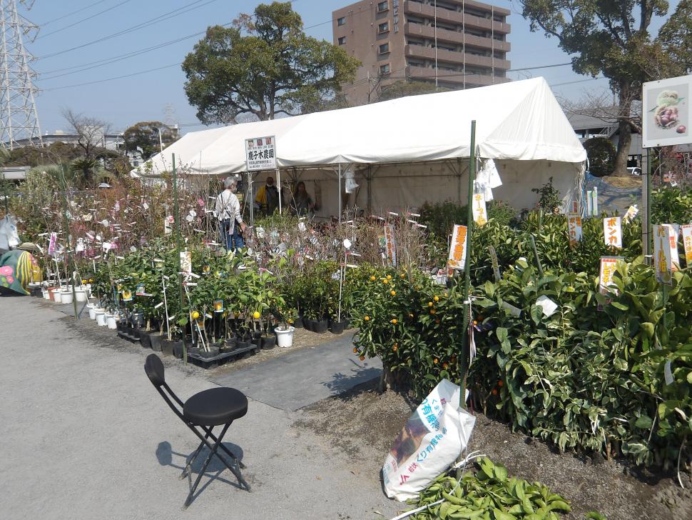 第34回おおいた人とみどりふれあいいち【一部要申込】