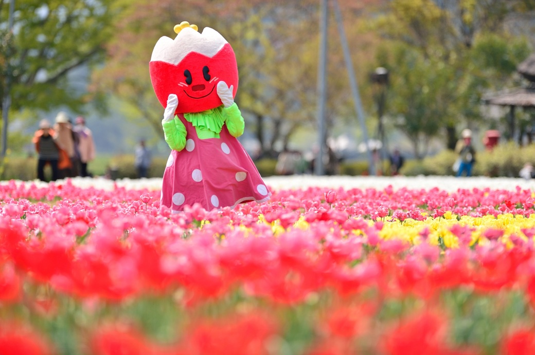 第34回 おがたチューリップフェスタ2026