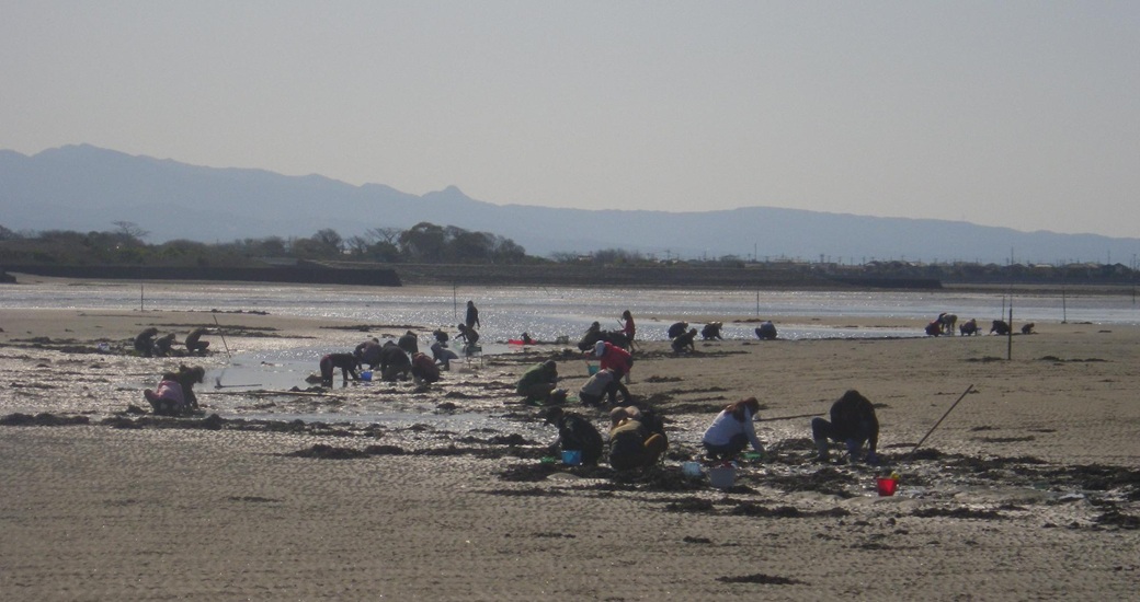 観光潮干狩りの開催について（和間海浜公園）