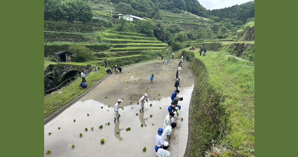 御田植祭