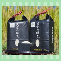 くす天空の輝き　2㎏