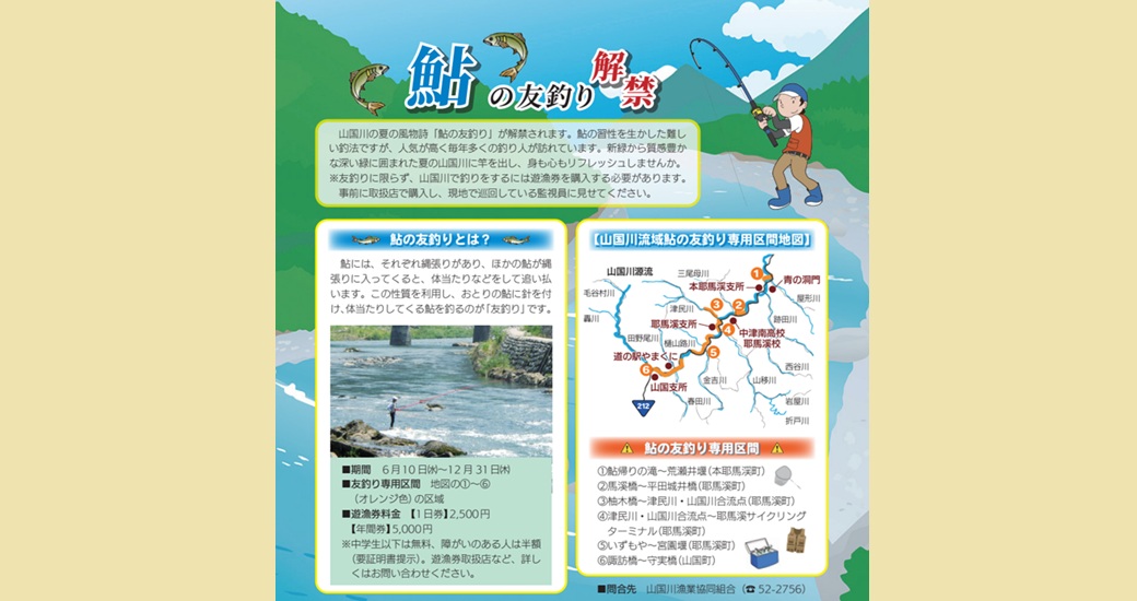 鮎の友釣り解禁