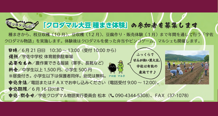 クロダマル大豆 種まき体験【参加者募集】