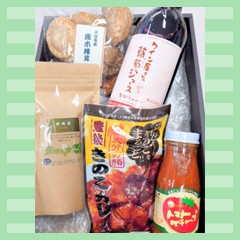 竹田市わかば公社 竹田ギフト詰め合わせセット