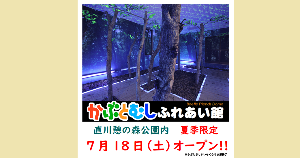 かぶとむしふれあい館　夏季限定オープン！