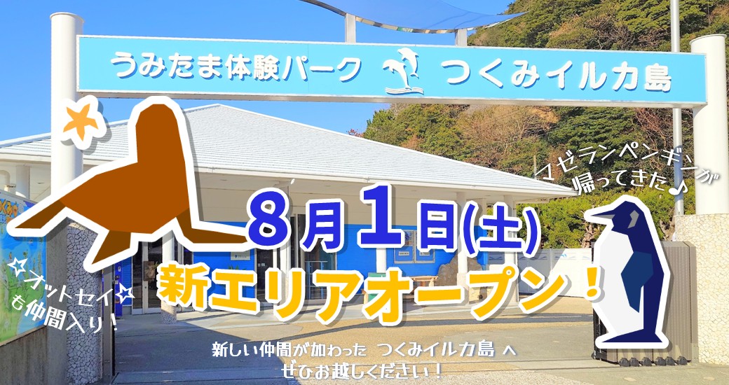 つくみイルカ島　新エリアオープン！