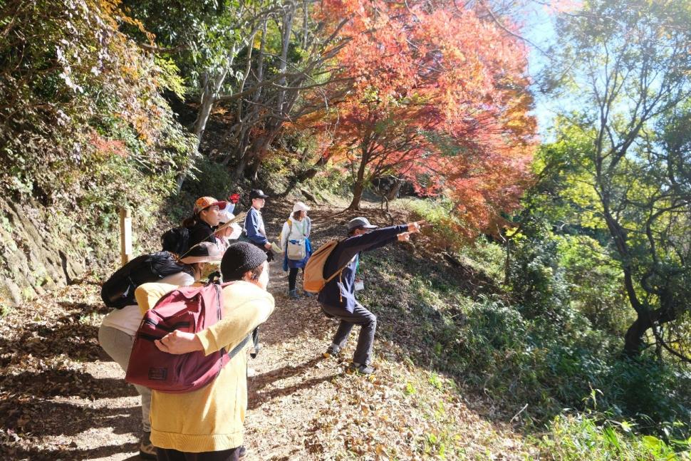 森林セラピー体験ツアーin高崎山【要申込】