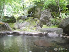 栃木温泉　紅葉谷の湯