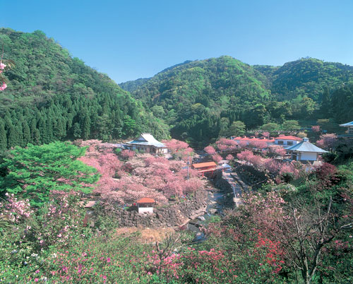 一心寺